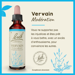 Fleurs de Bach Vervain n°31 - 20ml