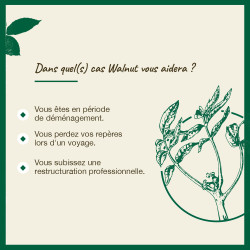 Fleurs de Bach Walnut n°33 - 20ml