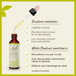Fleurs de Bach White Chestnut n°35 - 20ml