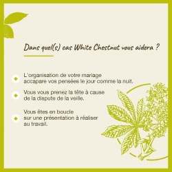 Fleurs de Bach White Chestnut n°35 - 20ml
