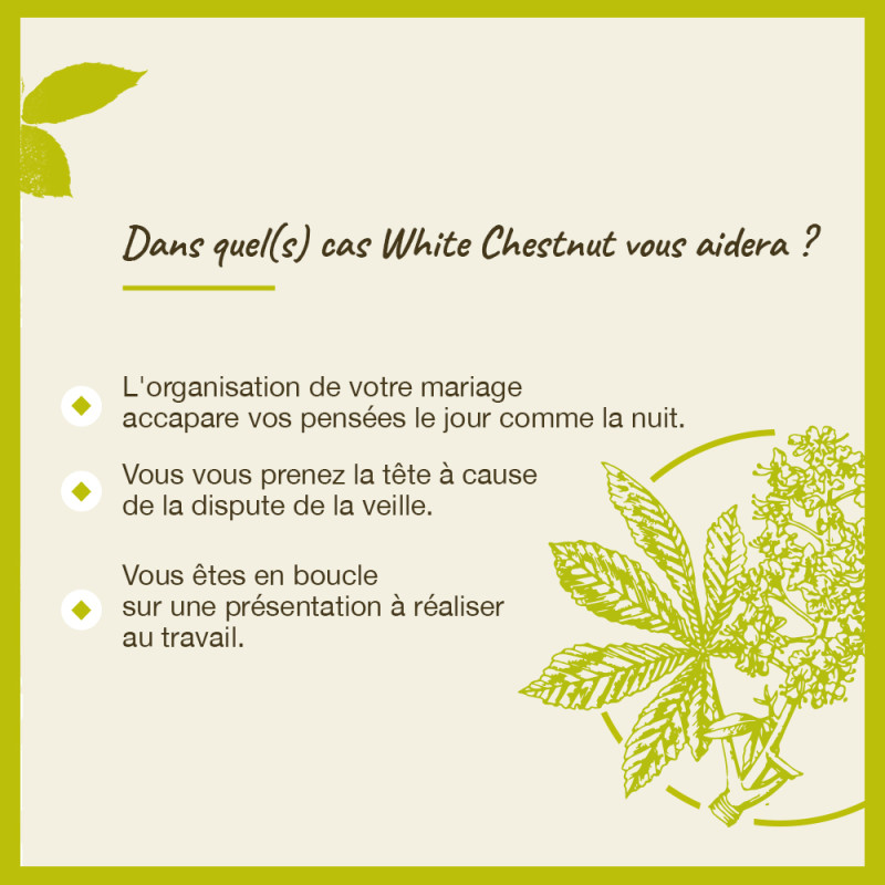 Fleurs de Bach White...