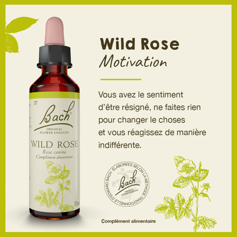 Fleurs de Bach Wild Rose...
