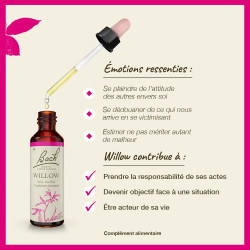 Fleurs de Bach Willow n°38 - 20ml