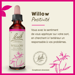 Fleurs de Bach Willow n°38 - 20ml