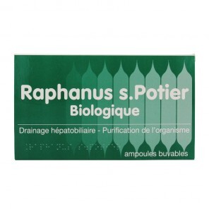 Raphanus S Potier...