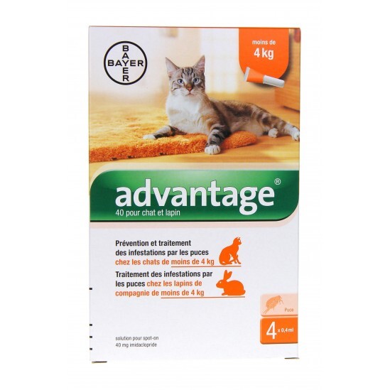 Bayer Advantage 40 Solution Antipuce Pour Chat et Lapin de - 4kg 4 Pipettes