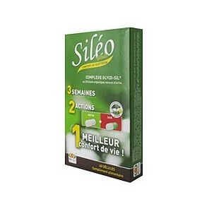 Siléo Complexe Glyco-Sil 40...