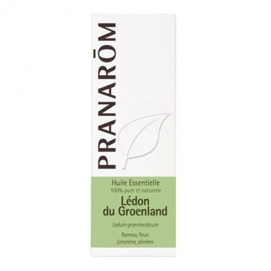 Pranarom Huile Essentielle Ledon 5 ml