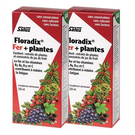 Salus Floradix boisson fer + plantes 2x250ml