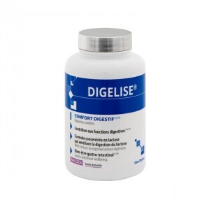 Ineldea Digelise confort digestif 90 gélules