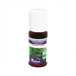 EUCALYPTUS RADIATA 10ML