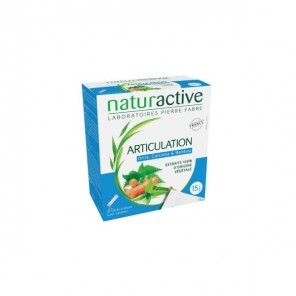 Naturactive articulation stick fluide boite de 15 sachets