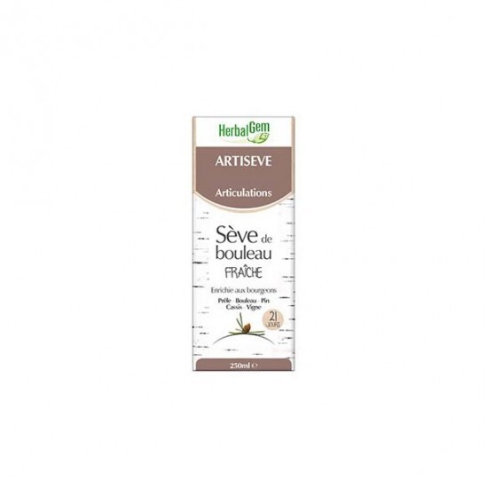 Herbalgem artiseve articulations souples 250ml