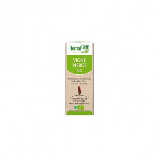 Herbalgem vigne vierge bio 30ml