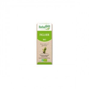 Herbalgem figuier bio 30ml