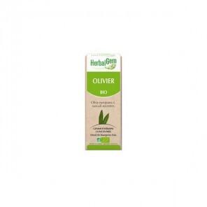 Herbalgem olivier bio 30ml