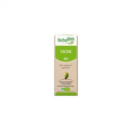 Herbalgem vigne bio 30ml