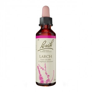 Fleurs de bach n°19 larch 20ml