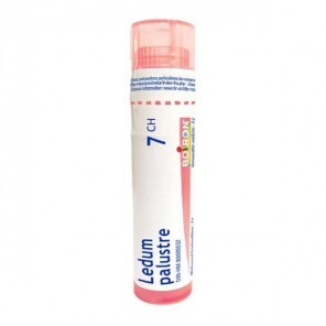 Boiron ledum palustre tube...