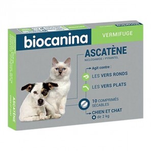 Biocanina ascatène 10 comprimés